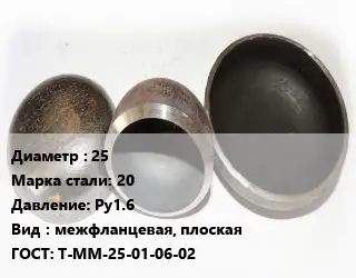 Заглушка стальная 25 Сталь: 20 Ру1.6 межфланцевая, плоская ГОСТ: Т-ММ-25-01-06-02